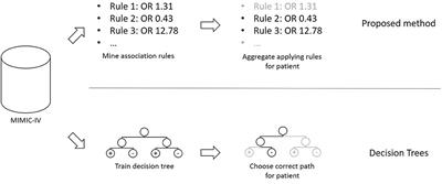 Rule-Based Models for Risk Estimation and Analysis of In-hospital Mortality in Emergency and Critical Care